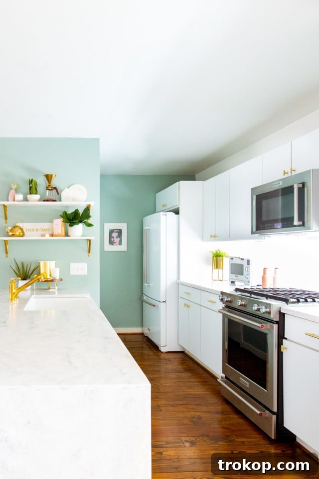 After Kitchen Renovation: A bright, modern kitchen showcasing new countertops and appliances.