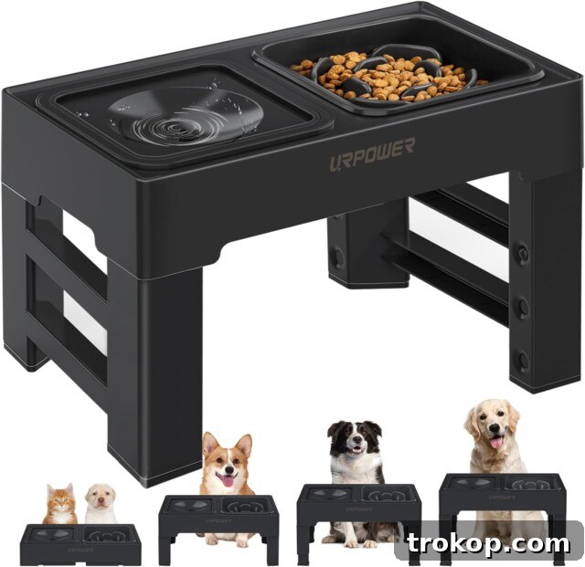 Paws-itively Perfect: Your Guide to Gifts Pets Adore 11 2-in-1 elevated slow feeder dog bowls with no-spill water bowl, adjustable for different pet heights