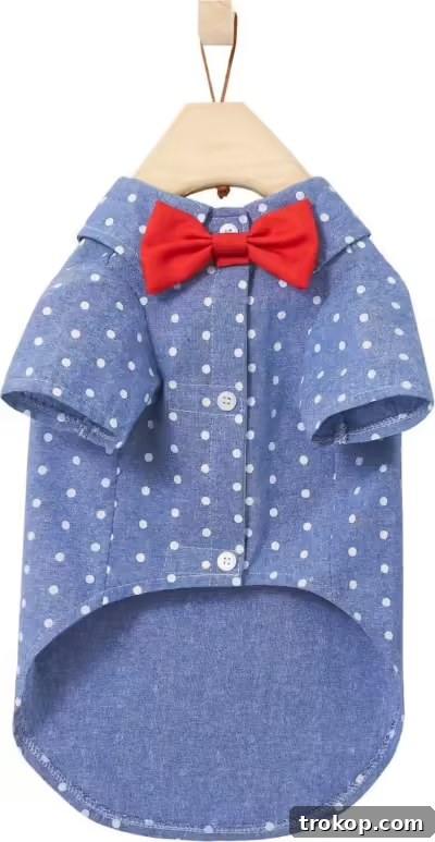 Paws-itively Perfect: Your Guide to Gifts Pets Adore 13 Chic Frisco polka dot chambray dog and cat button-up shirt, perfect for fashionable pets