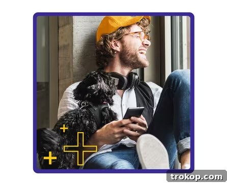 Paws-itively Perfect: Your Guide to Gifts Pets Adore 14 Care Plus by Chewy Pet Insurance logo, representing the gift of peace of mind for pet owners