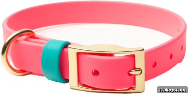 Paws-itively Perfect: Your Guide to Gifts Pets Adore 16 Durable and stylish PawFurEver's waterproof and odorless dog collar, available in multiple colors
