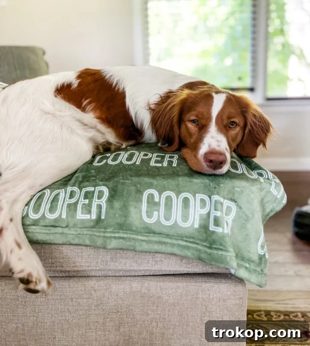 Paws-itively Perfect: Your Guide to Gifts Pets Adore 3 Soft and cozy personalized pet blanket for dogs and cats, featuring custom name embroidery