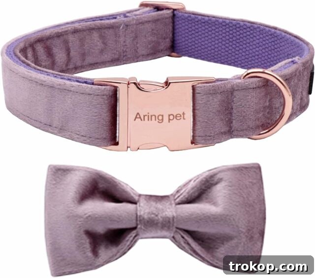 Paws-itively Perfect: Your Guide to Gifts Pets Adore 17 Soft velvet dog collar with a removable bowtie, available in many colors for special occasions or daily wear