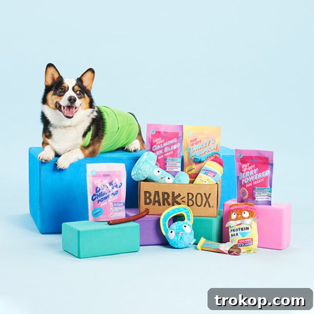 Paws-itively Perfect: Your Guide to Gifts Pets Adore 23 BarkBox dog subscription service delivering curated toys and treats to pet parents