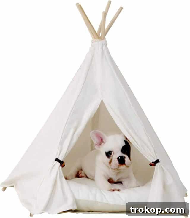 Paws-itively Perfect: Your Guide to Gifts Pets Adore 4 Stylish and comfortable portable pet teepee tent for cats or small dogs, made with durable canvas