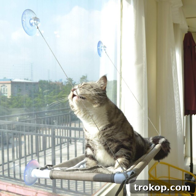 Paws-itively Perfect: Your Guide to Gifts Pets Adore 29 Cozy cat window hammock for sunbathing and outdoor viewing, space-saving design