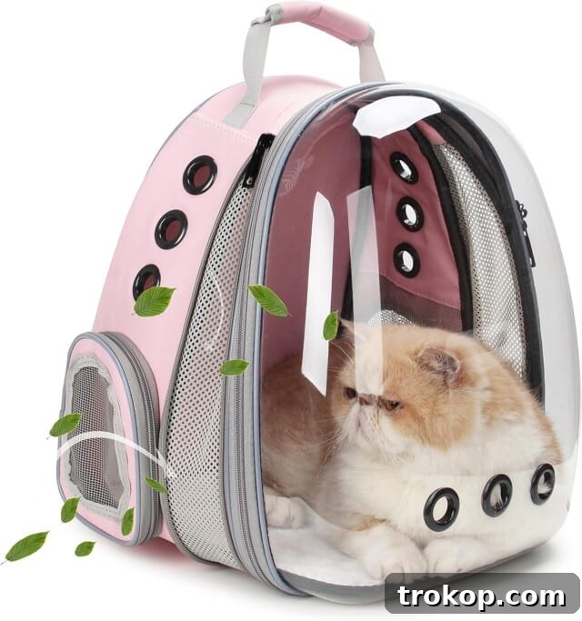 Paws-itively Perfect: Your Guide to Gifts Pets Adore 5 Convenient and comfortable portable pet carrier backpack for travel, ideal for pet owners on the go