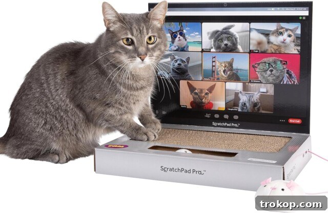 Paws-itively Perfect: Your Guide to Gifts Pets Adore 34 Unique ScratchPad Pro laptop scratcher cat toy with stickers, serving as a 3-in-1 entertainment center