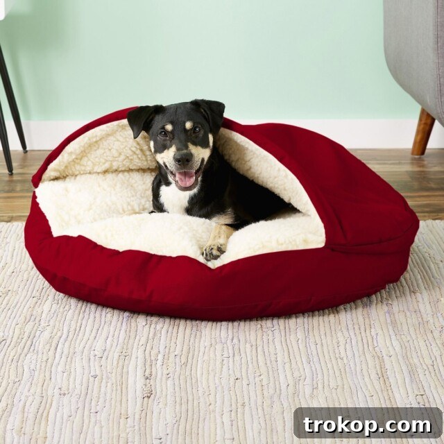 Paws-itively Perfect: Your Guide to Gifts Pets Adore 10 Snoozer Pet Products Cozy Cave covered pet bed with memory foam for ultimate comfort for dogs and cats
