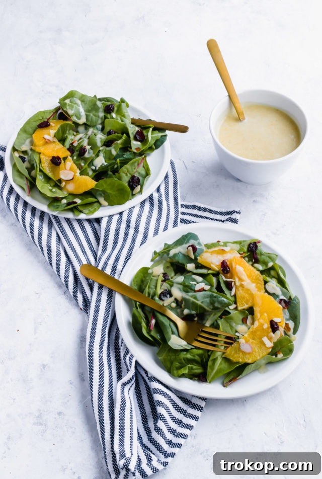 Vibrant Cranberry Orange Salad with Luscious Citrus Vinaigrette 2 A beautifully arranged Cranberry Orange Salad with Creamy Citrus Vinaigrette, drizzled on top, ready for serving at a holiday gathering.