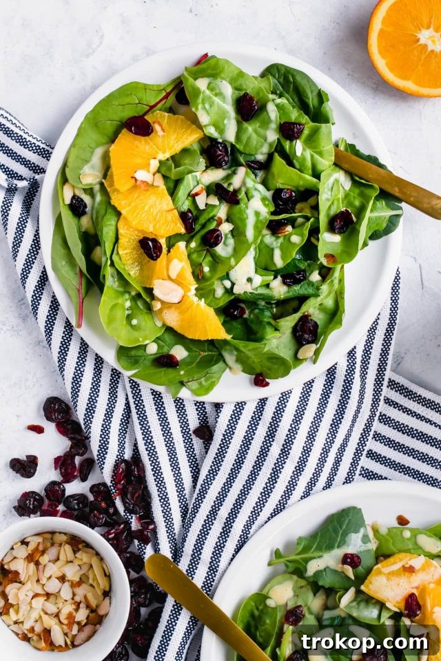 Vibrant Cranberry Orange Salad with Luscious Citrus Vinaigrette 5 A bowl of Cranberry Orange Salad with Creamy Citrus Vinaigrette, ready to be served.