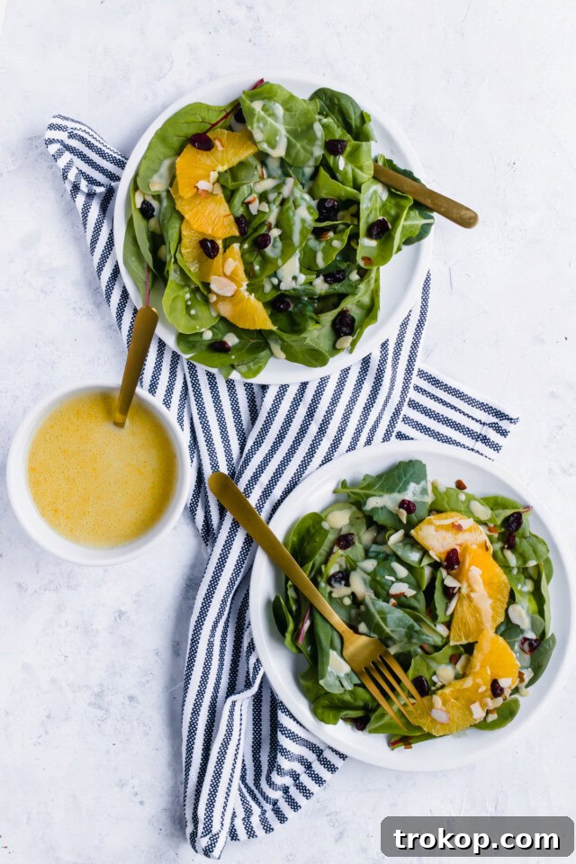 Vibrant Cranberry Orange Salad with Luscious Citrus Vinaigrette 7 Full bowl of Cranberry Orange Salad Recipe with fresh greens, cranberries, and orange slices.