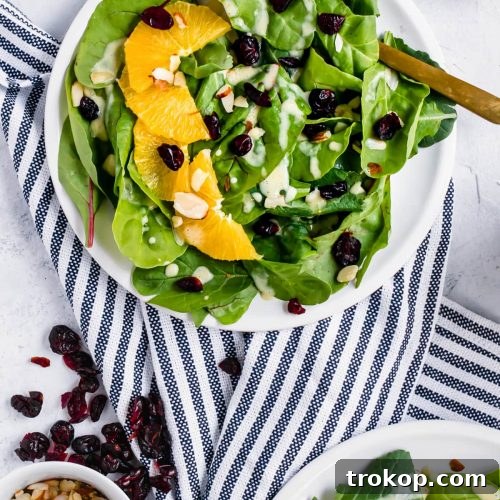 Vibrant Cranberry Orange Salad with Luscious Citrus Vinaigrette 8 A Cranberry Orange Salad with Creamy Citrus Vinaigrette by top Houston lifestyle blogger Ashley Rose of Sugar & Cloth