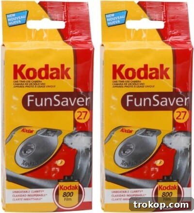 33 Galentine's Day Gifts to Pamper Your Bestie 13 Kodak Fun Saver Camera
