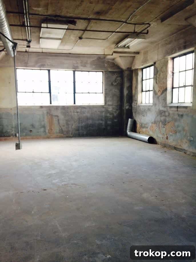 #sugarandclothstudio: Before our studio transformation began, showcasing the raw, undeveloped space. A stark contrast to its future vibrant self.