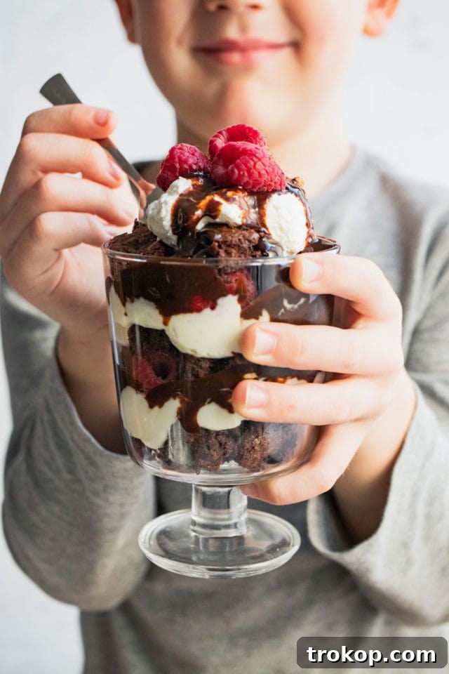 Build Your Own Brownie Parfait Masterpiece 8 Raspberry Cheesecake Parfait