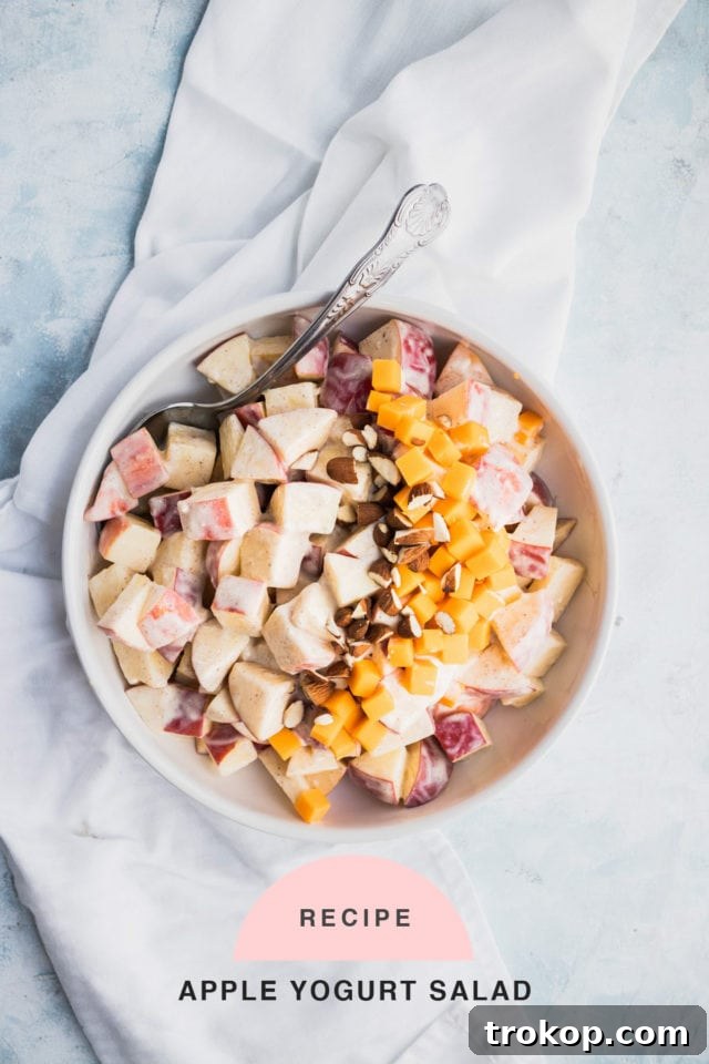 Apple Yogurt Salad Recipe