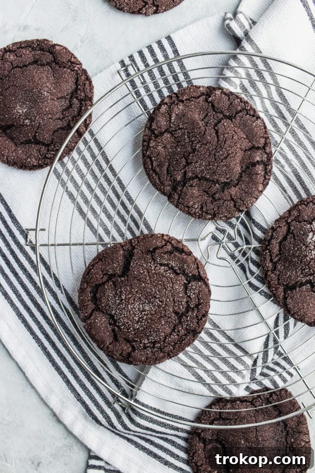 Chocolate Peanut Butter Surprise Cookies 6 Batch of Egg Free Chocolate Peanut Butter Cookies