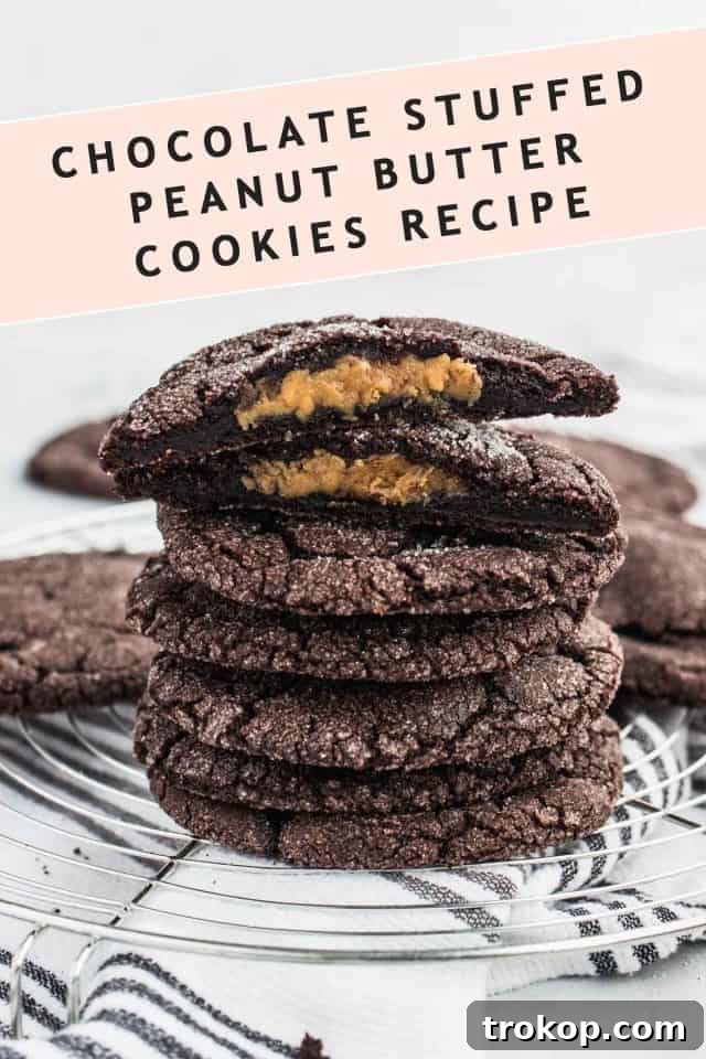 Chocolate Peanut Butter Surprise Cookies 7 Chocolate Peanut Butter Cookies Recipe Card