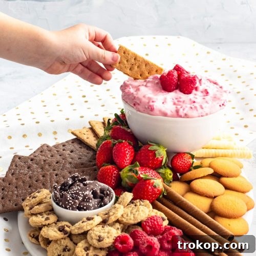 Delectable Raspberry Cream Cheese Dip and Dessert Board Recipe 8 Raspberry Cream Cheese Dip with Graham Crackers