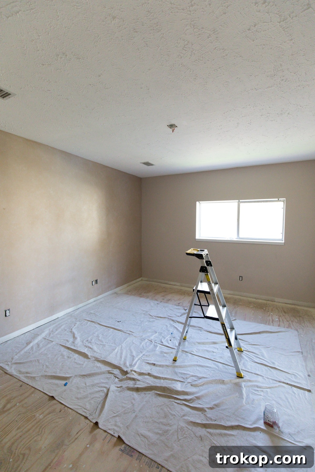 New Home New Light Our Skylight Transformation 2 Before: Gwen's old bedroom view, dark and uninviting. The transformation to a light-filled space with a Velux skylight dramatically improved the room's ambiance, showcasing the power of natural light in home renovation.