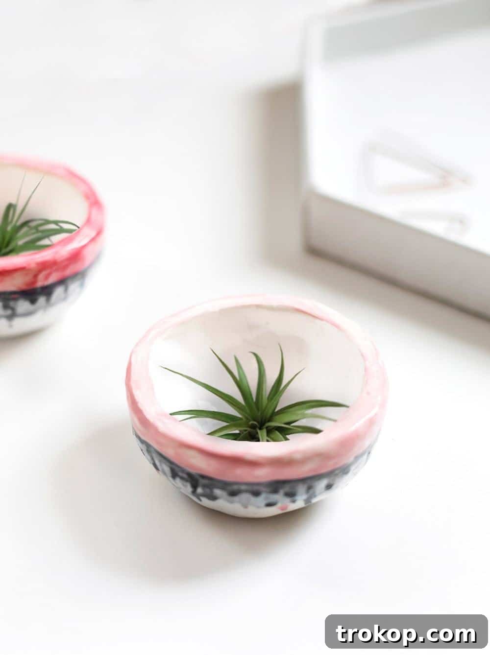 The Plant Mom's Mother's Day Gift Guide: Buy or DIY 4 Adorable Mini DIY Plant Pots for air plants or ring dish by Sugar & Cloth