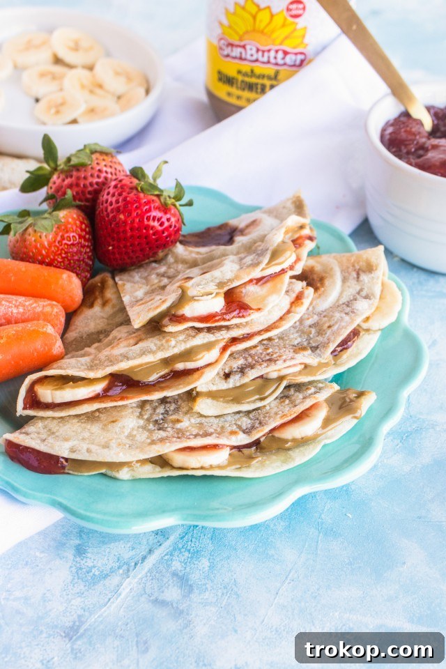 Allergy-Friendly Bites: Healthy Lunches Kids Adore 5 Nut Free Lunch Ideas for Kids Sunbutter Quesadillas by Sugar & Cloth