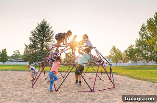 Lifetime Geometric Dome Climber Play Center, Earthtone Lifetime Geometric Dome Climber Play Center in Earthtone