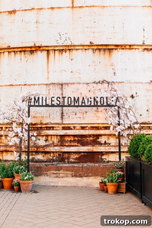 The 'Miles To Magnolia' photo op signage, a popular spot inspired by Fixer Upper