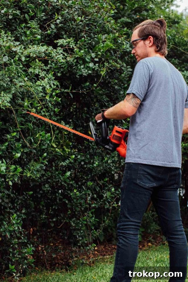 Crafting the Perfect Outdoor Movie Night Experience 4 Man using Black & Decker power tools to clean up the yard for a movie night