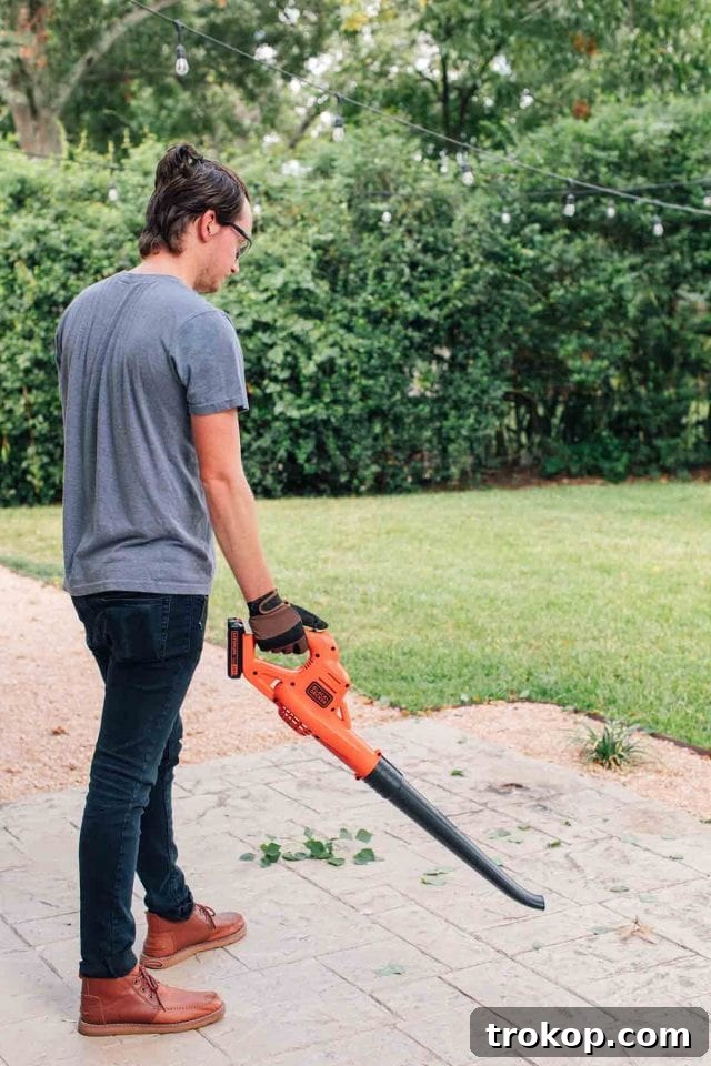 Crafting the Perfect Outdoor Movie Night Experience 5 Detailed shot of Black & Decker power tools used for garden maintenance, preparing for an outdoor movie