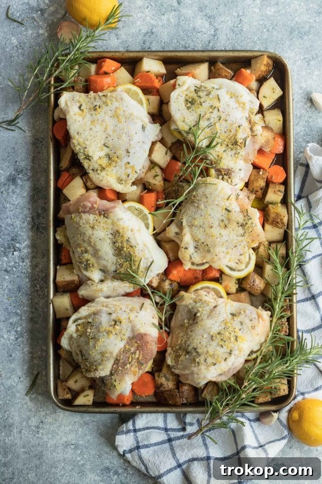 Easy One Pan Lemon Rosemary Chicken 5 Photo of all fresh ingredients for a healthy and easy Sheet Pan Lemon Rosemary Chicken Dinner