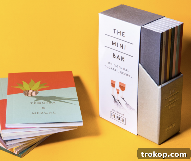 33 Heartfelt Gifts Your Best Friend Deserves 12 The Mini Bar: 100 Essential Cocktail Recipes book set