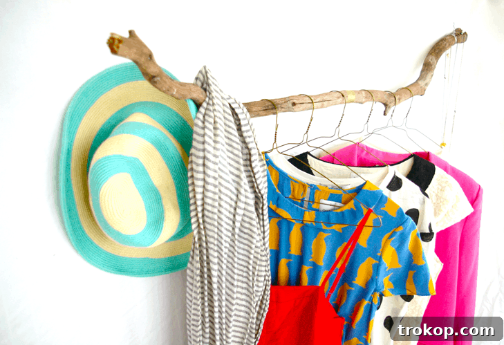 DIY branch clothing rack example with clothes