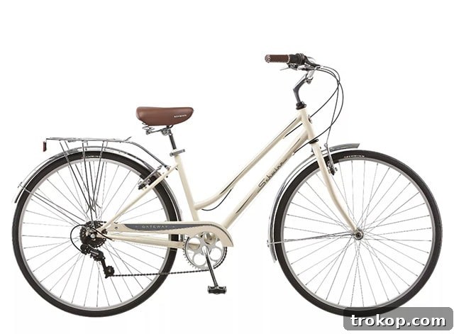 47 Unique Gift Ideas for Women for Every Occasion 8 photo of schwinn bicycle