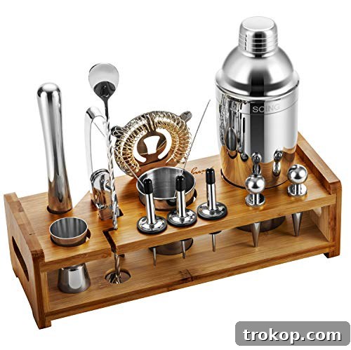 Soing Silver 24-Piece Cocktail Shaker Set,Perfect Home Bartending Kit for Drink Mixing,Stainless Steel Bar Tools With Stand,Velvet Carry Bag & Recipes Included Soing Silver 24-Piece Cocktail Shaker Set,Perfect Home Bartending Kit for Drink Mixing,Stainless Steel Bar Tools With Stand,Velvet Carry Bag & Recipes Included