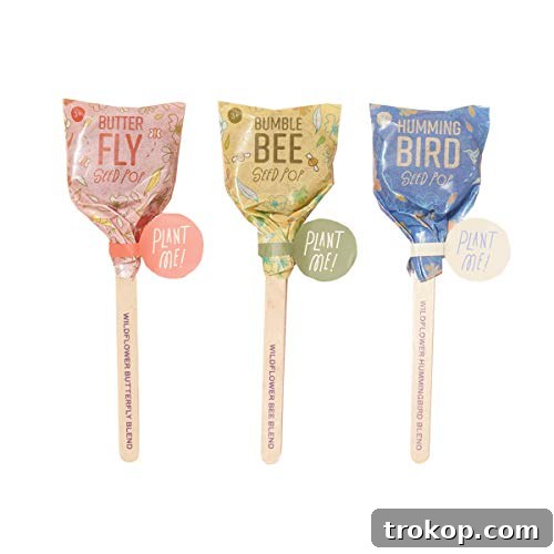 Modern Sprout Seed Lollipops, Garden Seed Packet, Indoor Garden or Outdoor Plants, Organic Seeds, Perrenial Wildflower Mix, 10 Pack Modern Sprout Seed Lollipops, Garden Seed Packet, Indoor Garden or Outdoor Plants, Organic Seeds, Perrenial Wildflower Mix, 10 Pack