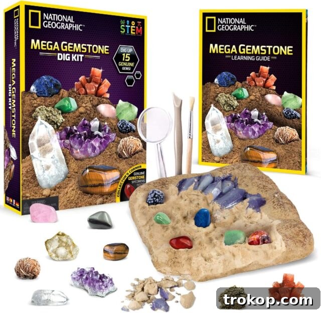 48 Irresistible Toys That Kids Will Love 8 NATIONAL GEOGRAPHIC Mega Gemstone Dig Kit, an educational science toy for kids.