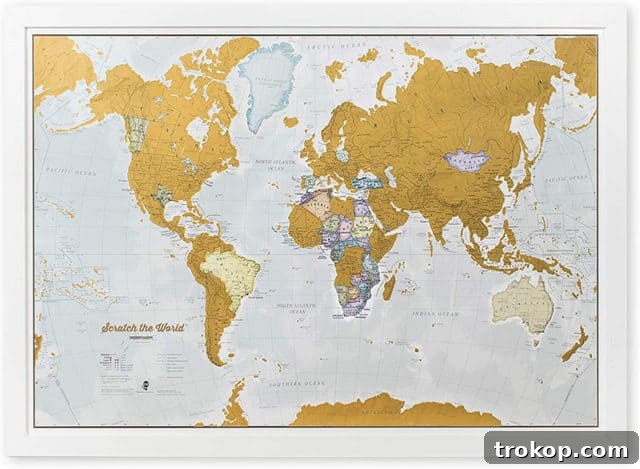 30 Couples Gifts for Unforgettable Shared Moments 23 photo of scratch off world map