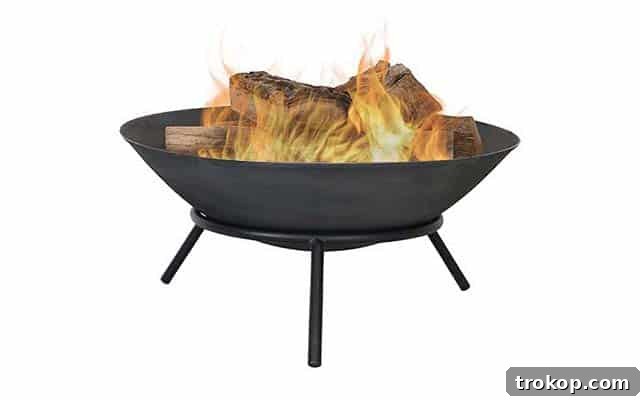 30 Couples Gifts for Unforgettable Shared Moments 25 photo of Sunnydaze Cast Iron Fire Pit Bowl