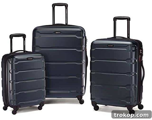 30 Couples Gifts for Unforgettable Shared Moments 5 photo of luggage trio set best gifts idea