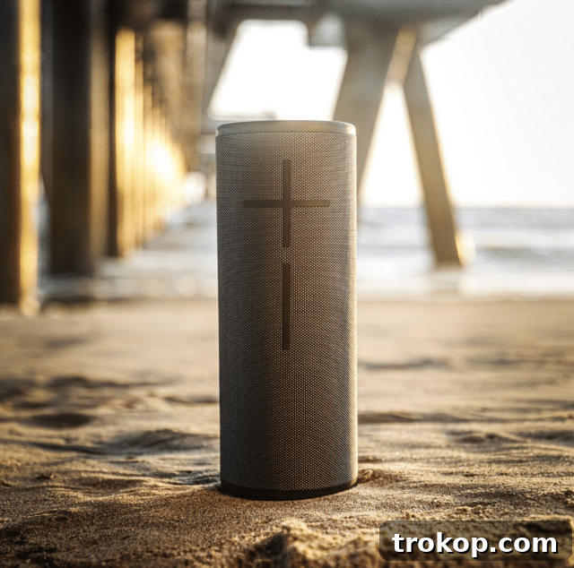 30 Couples Gifts for Unforgettable Shared Moments 10 ultimate ears megaboom portable speaker gift idea for couples