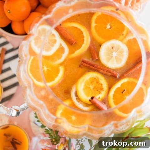 photo of a thanksgiving punch recipe