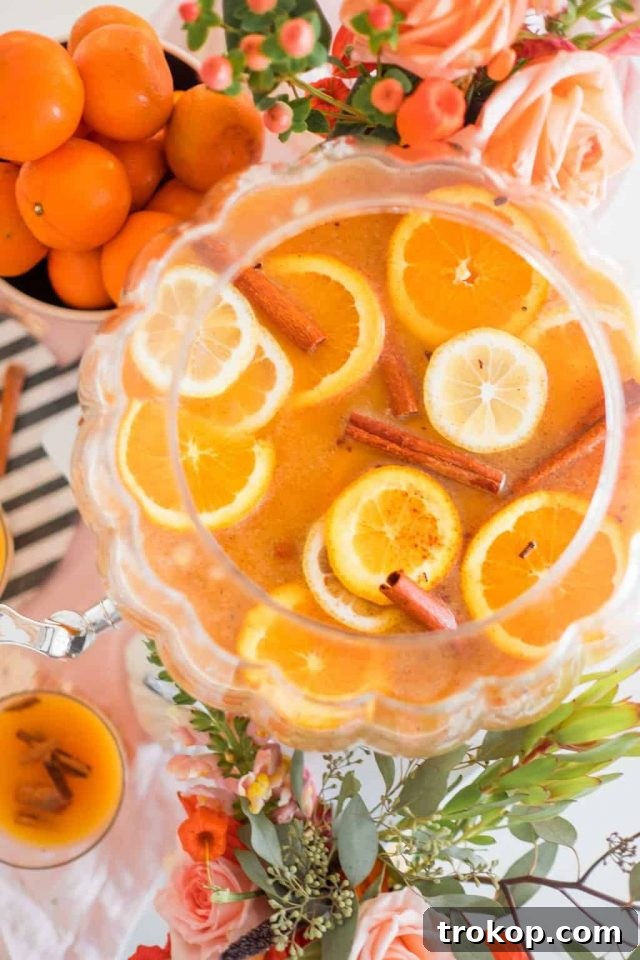 photo of a thanksgiving punch recipe