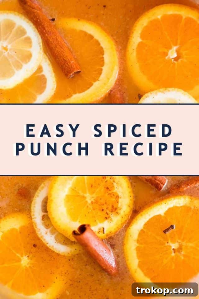 easy spiced punch recipe
