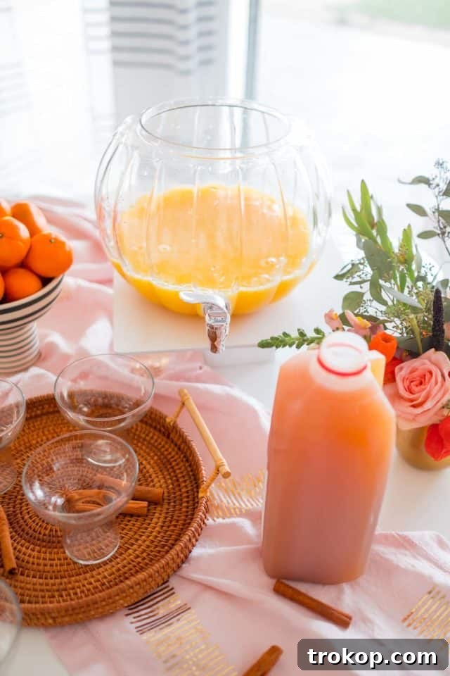photo of the ingredients to make a thanksgiving punch