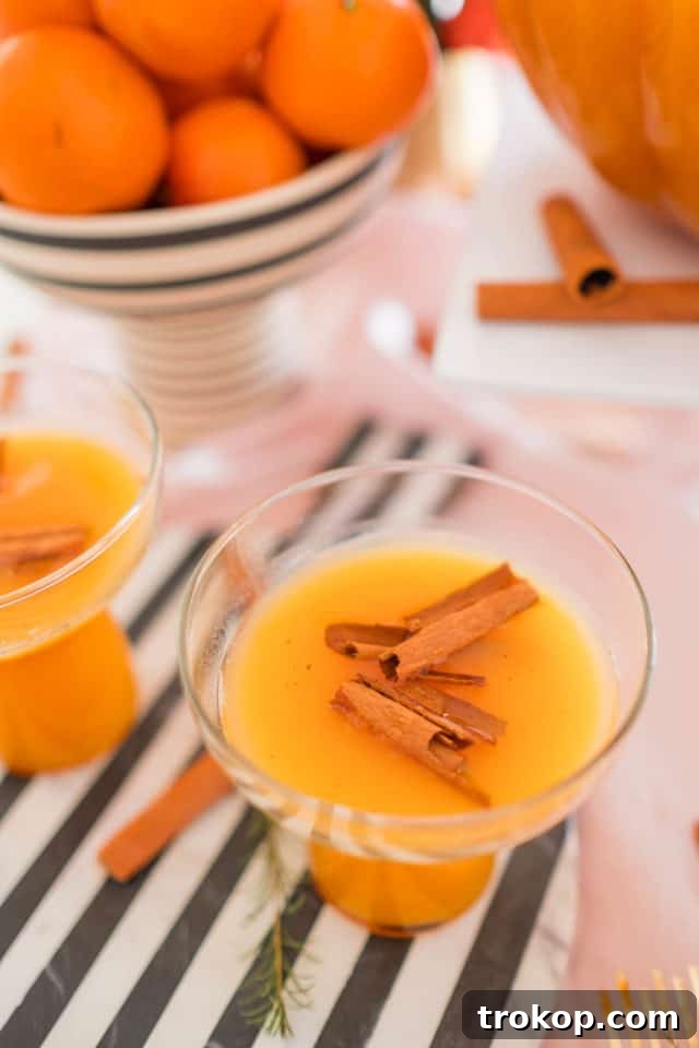 photo of thanksgiving cocktails