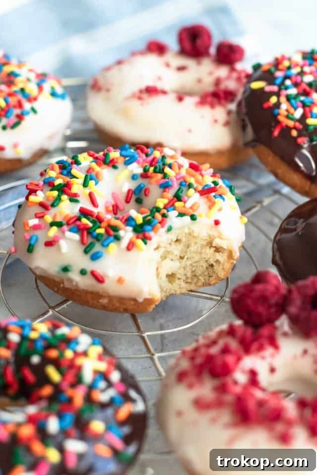 A beautifully presented, partially eaten gluten-free donut, showcasing its moist and tender crumb, by top Houston lifestyle blogger Ashley Rose of Sugar & Cloth.