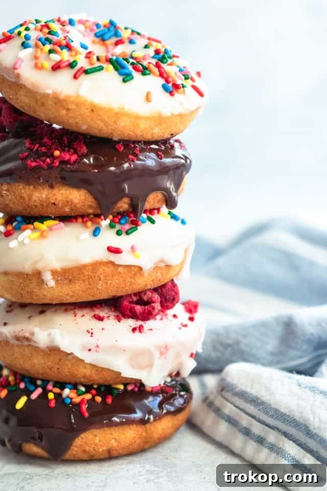 A detailed photo showcasing various gluten-free donut toppings, including sprinkles, crushed raspberries, and chocolate drizzles, by top Houston lifestyle blogger Ashley Rose of Sugar & Cloth.