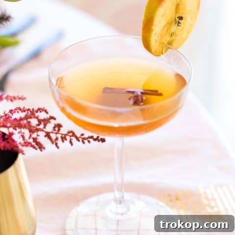 Close up photo of the easy spiced apple cider drink by top Houston lifestyle blogger Ashley Rose of Sugar & Cloth